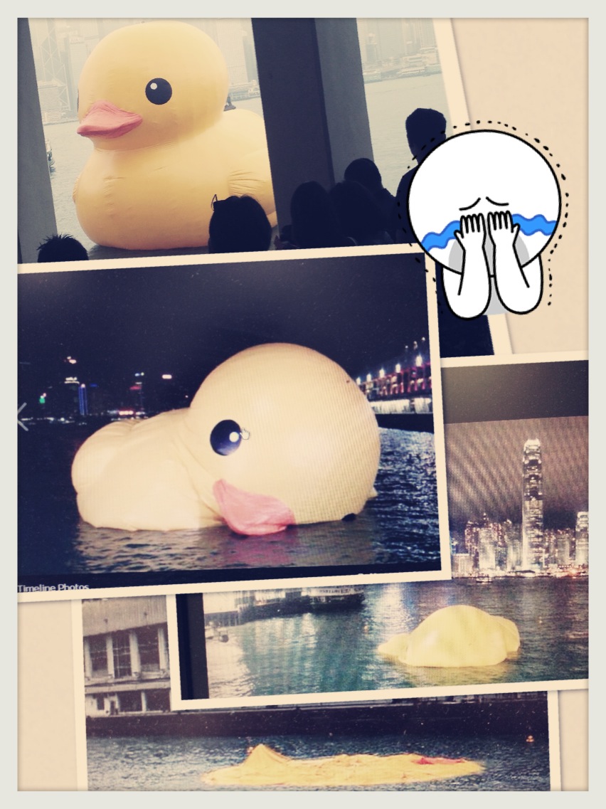 P: Rubber Duck Tragedy