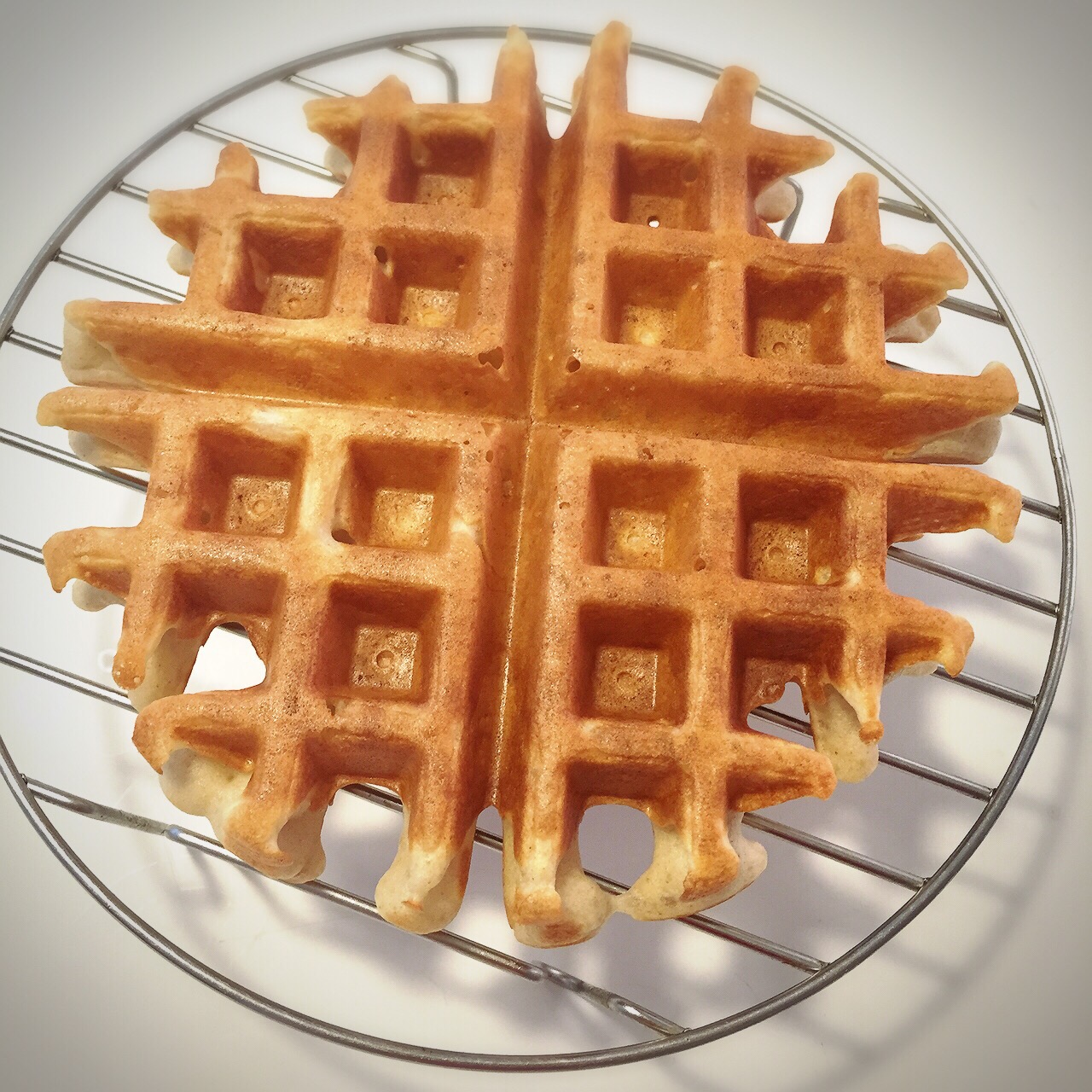 R: Buckwheat Waffle (Yeast Version)